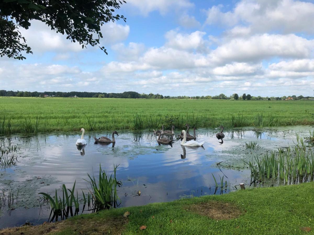 Prive In Een Bosrijke Omgeving Welkom Bij Gastenverblijf Het Ontsnapte Schaap In Jubbega Exterior foto