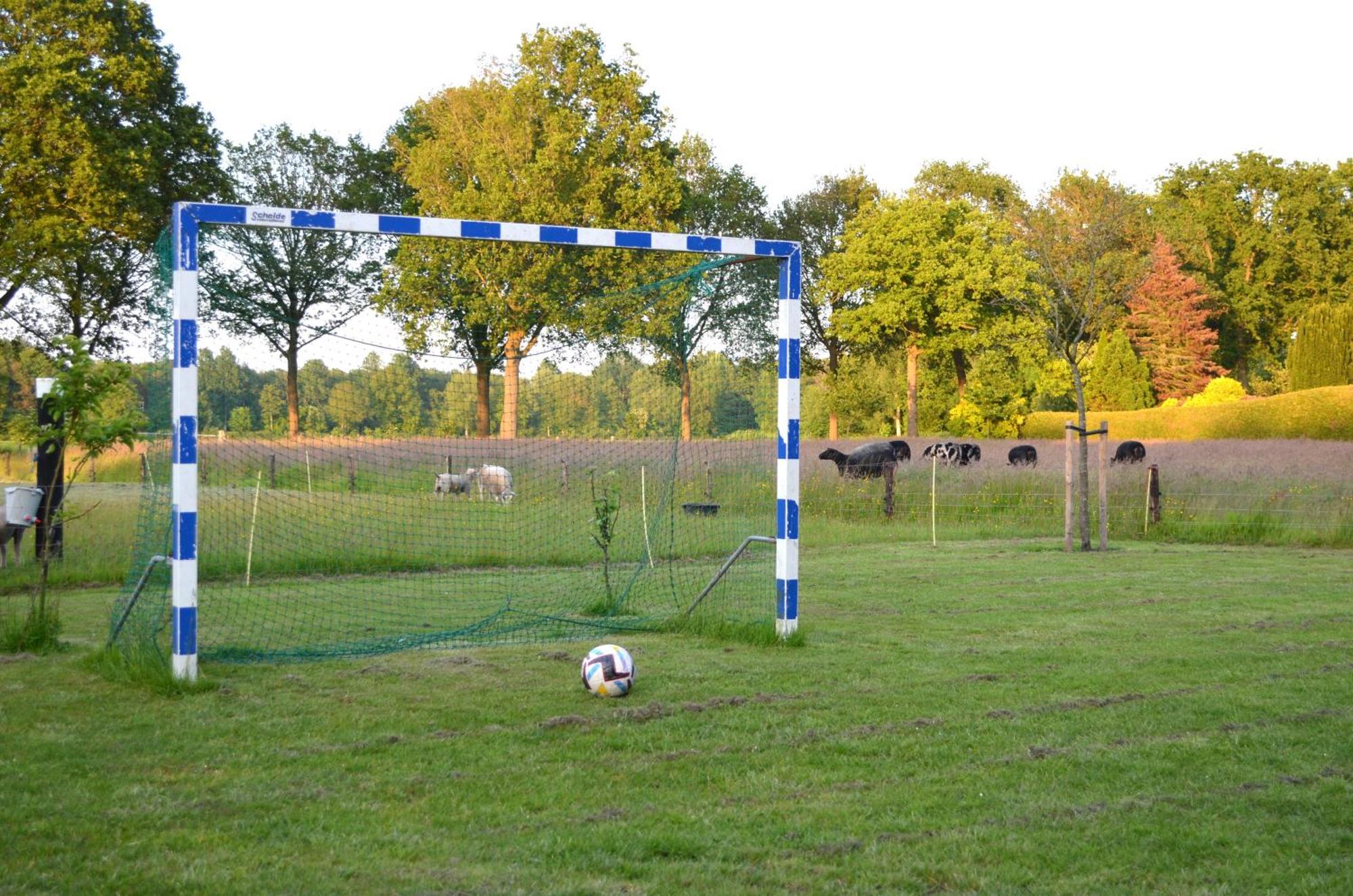 Prive In Een Bosrijke Omgeving Welkom Bij Gastenverblijf Het Ontsnapte Schaap In Jubbega Exterior foto